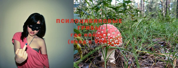 соль курить ск Лиски